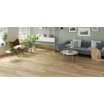 ASPEN BEIGE 15*100