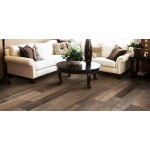 ASPEN BROWN 15*100