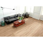 BRICOLA MIELE RET 20*120